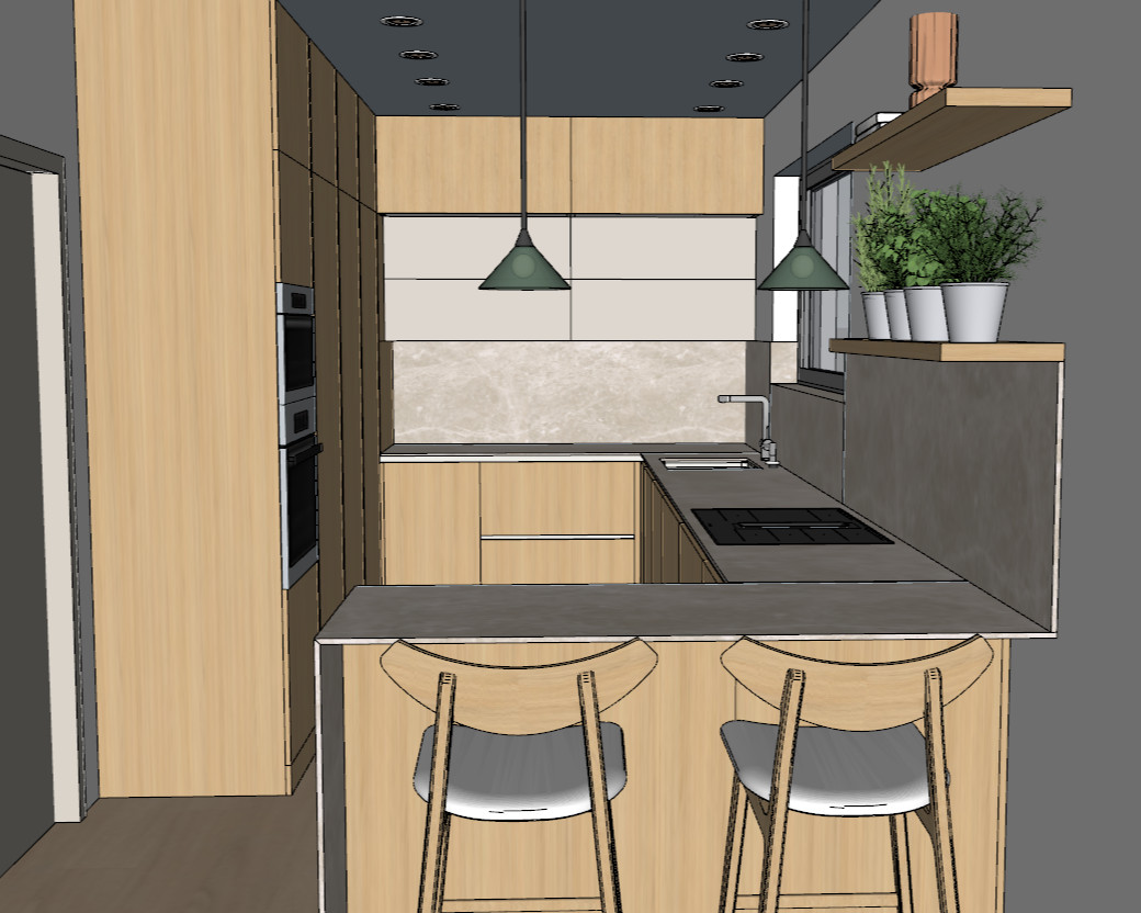 Imported SketchUp perspective retained as your unmodified architectural reference.